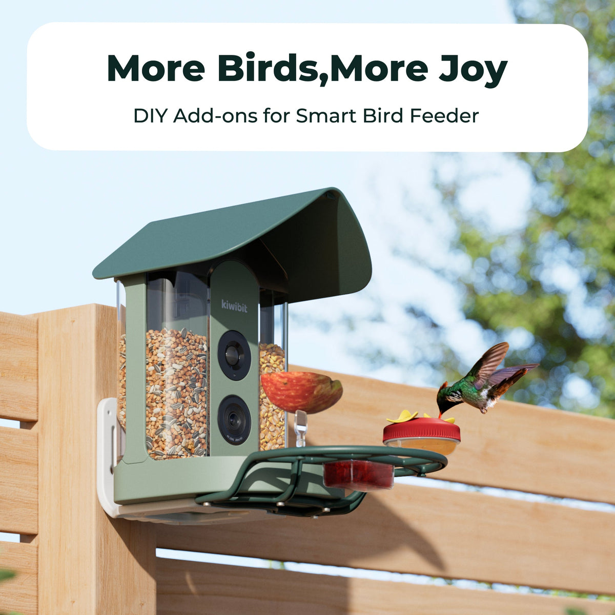 All-in-One Bird Feeding Kit for Smart Bird Feeder