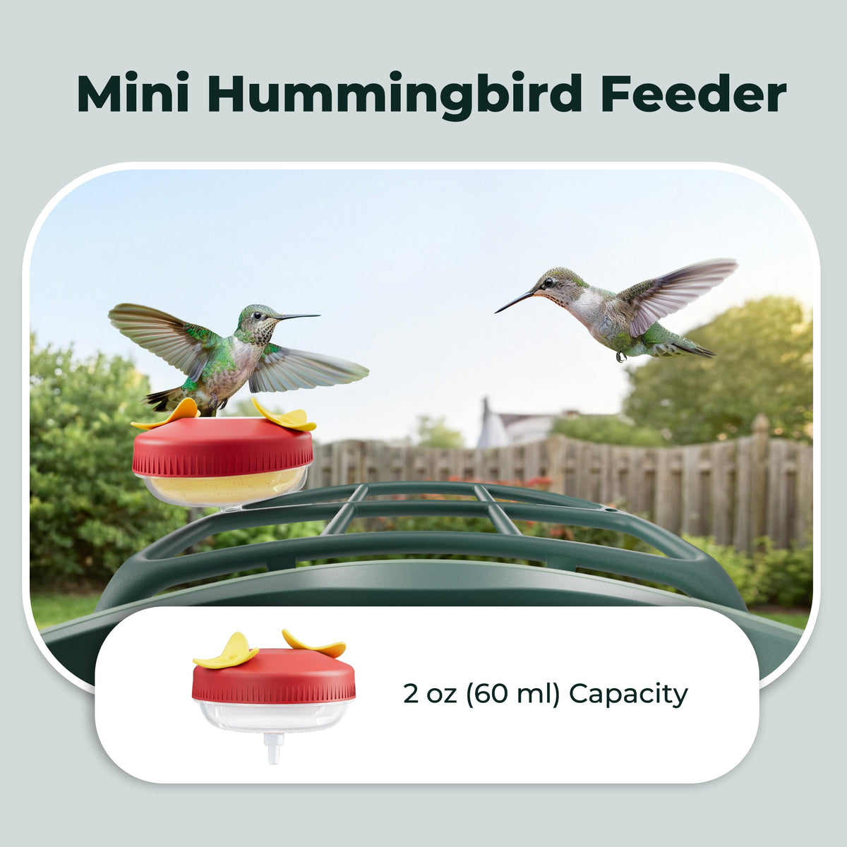 All-in-One Bird Feeding Kit for Smart Bird Feeder
