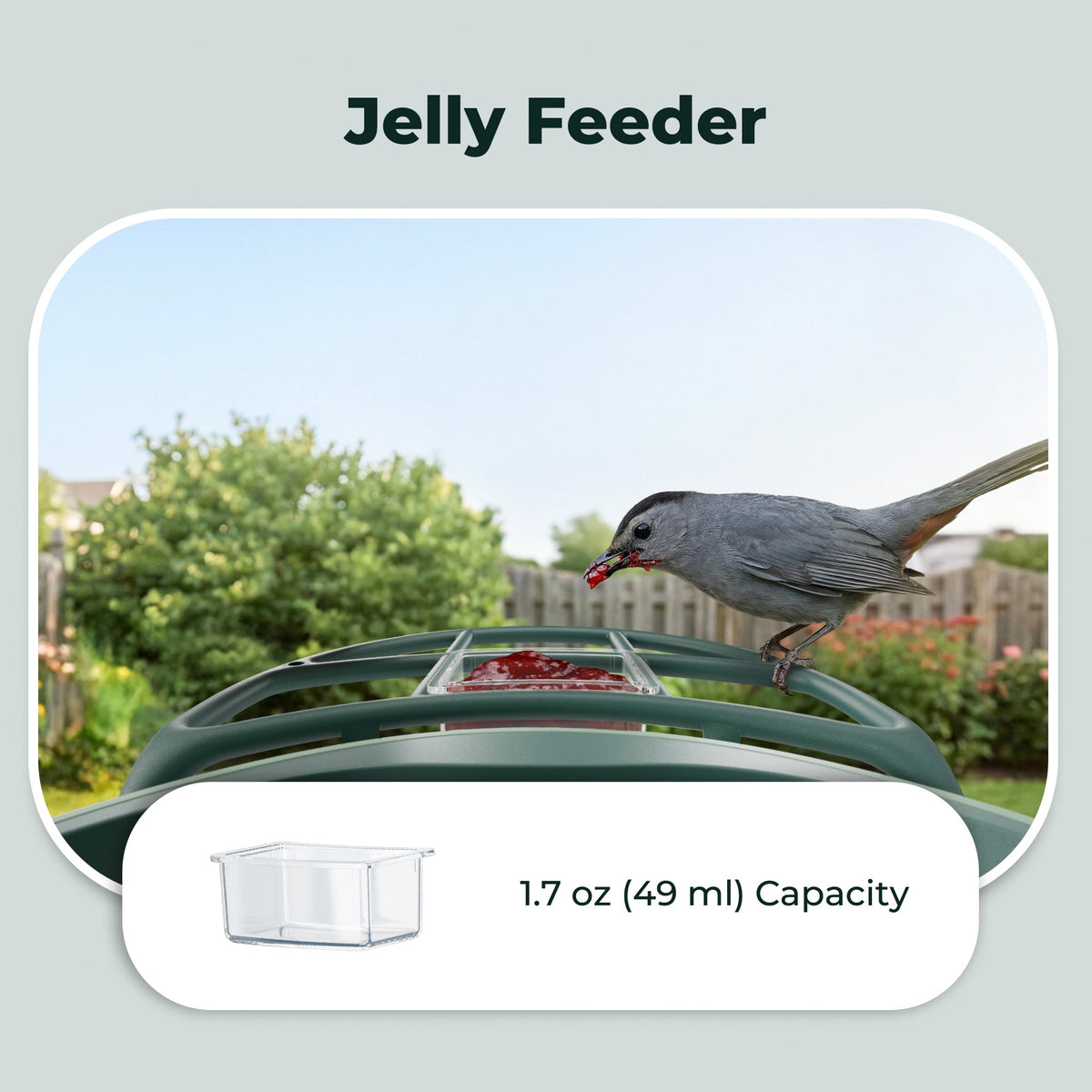 All-in-One Bird Feeding Kit for Smart Bird Feeder