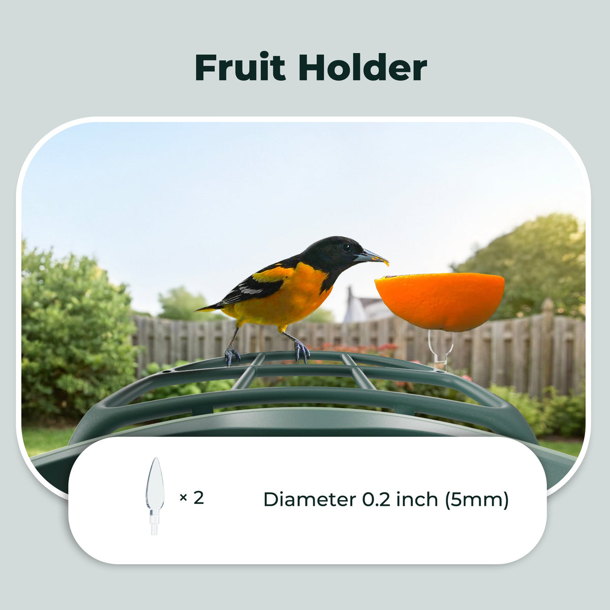 All-in-One Bird Feeding Kit for Smart Bird Feeder