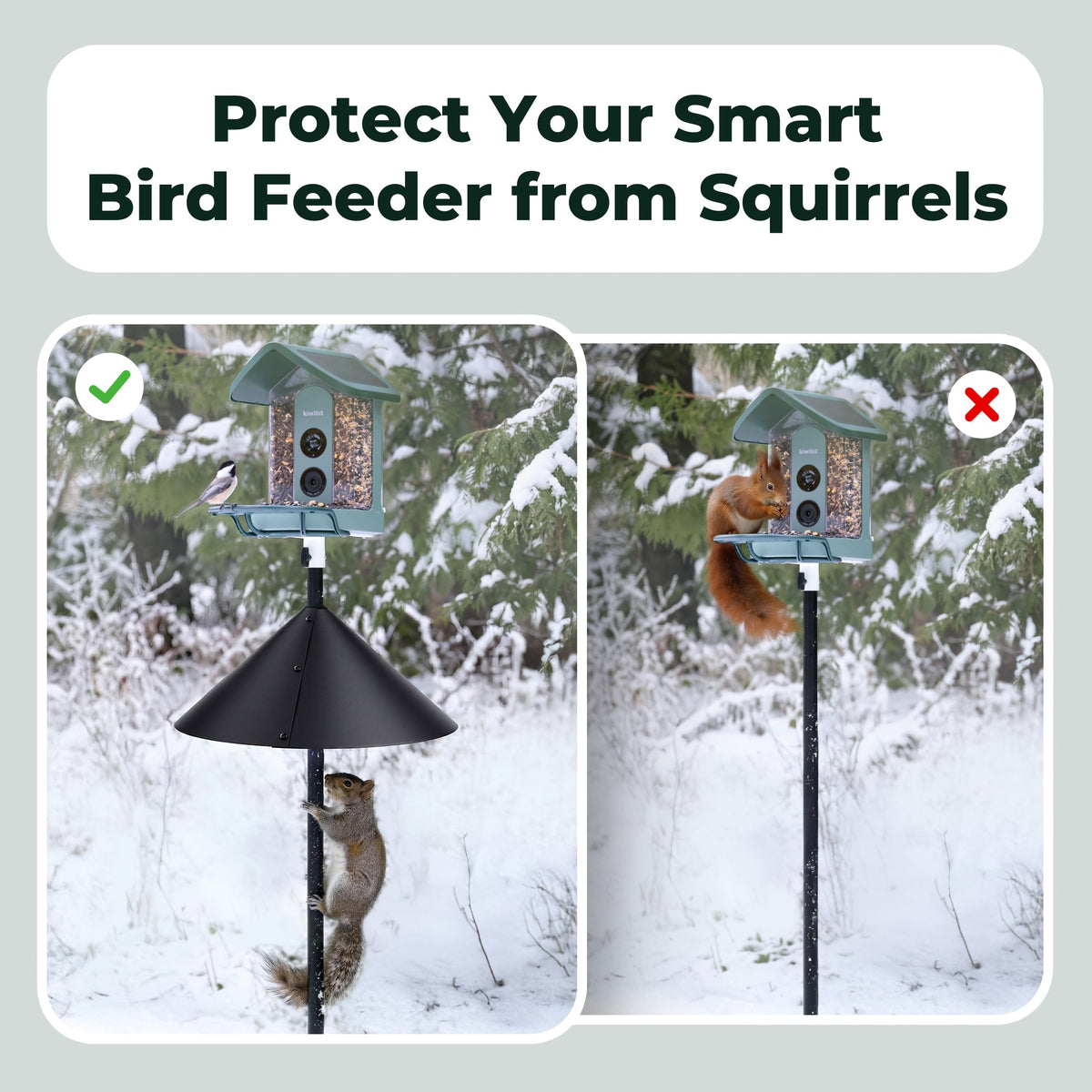 19" Squirrel Baffle for Bird Feeder Pole