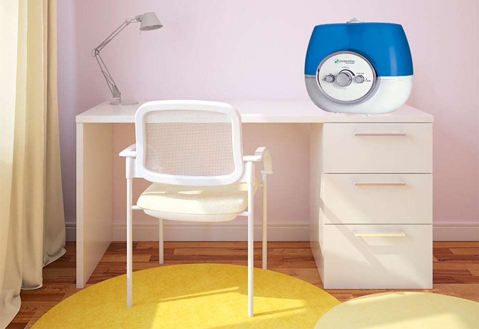 Warm And Cool Mist Humidifier