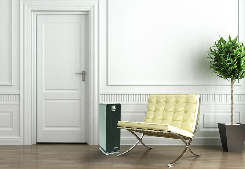 True HEPA Air Purifier