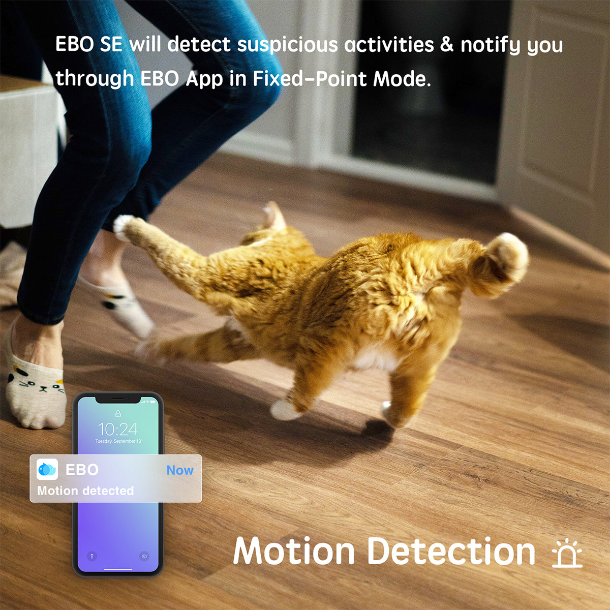 Remote Control Robot Camera