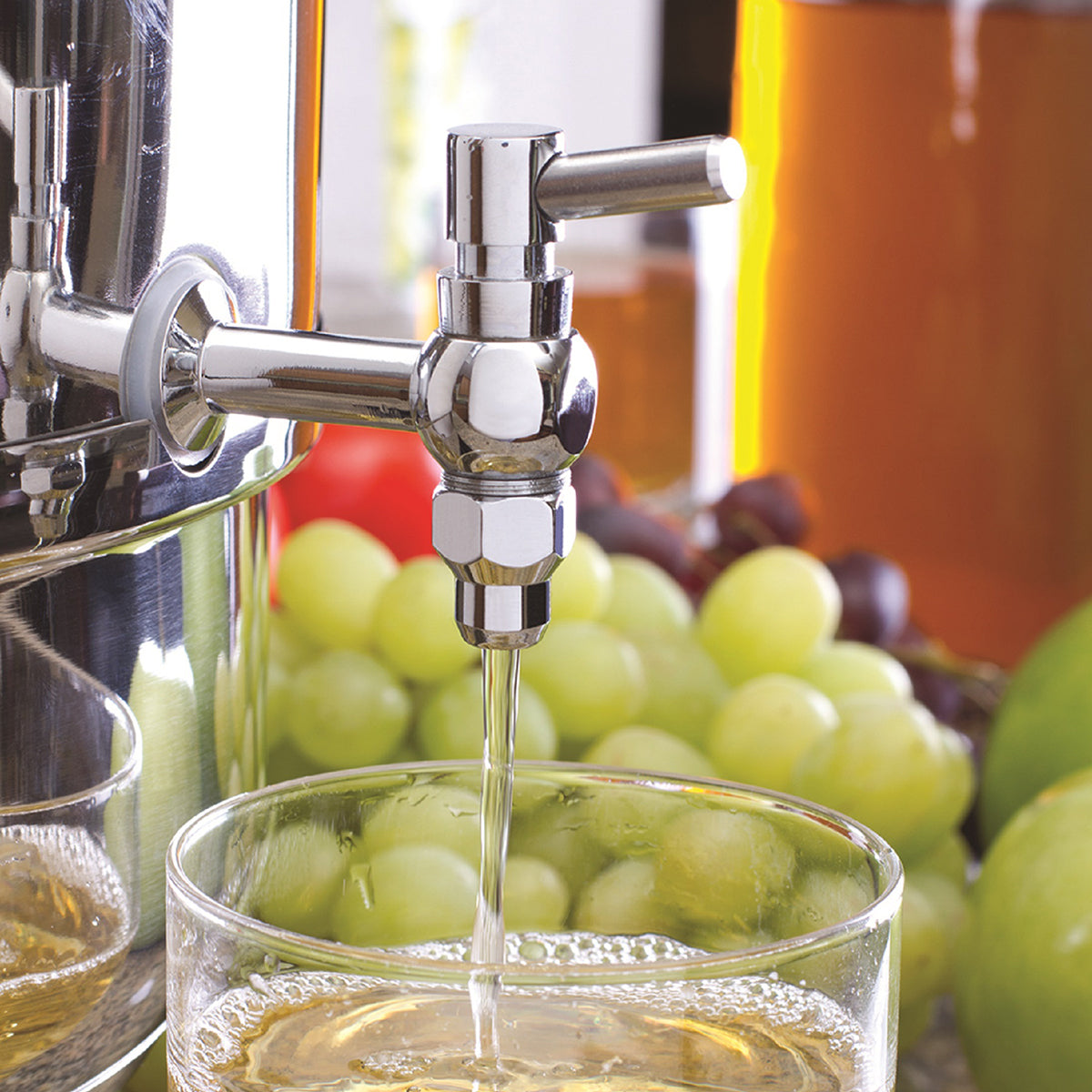 Stainless Steel Stove Top Steam Juicer