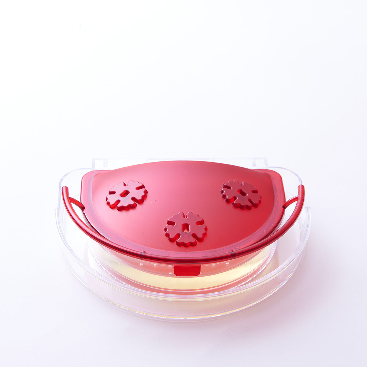 Video Camera Hummingbird Feeder