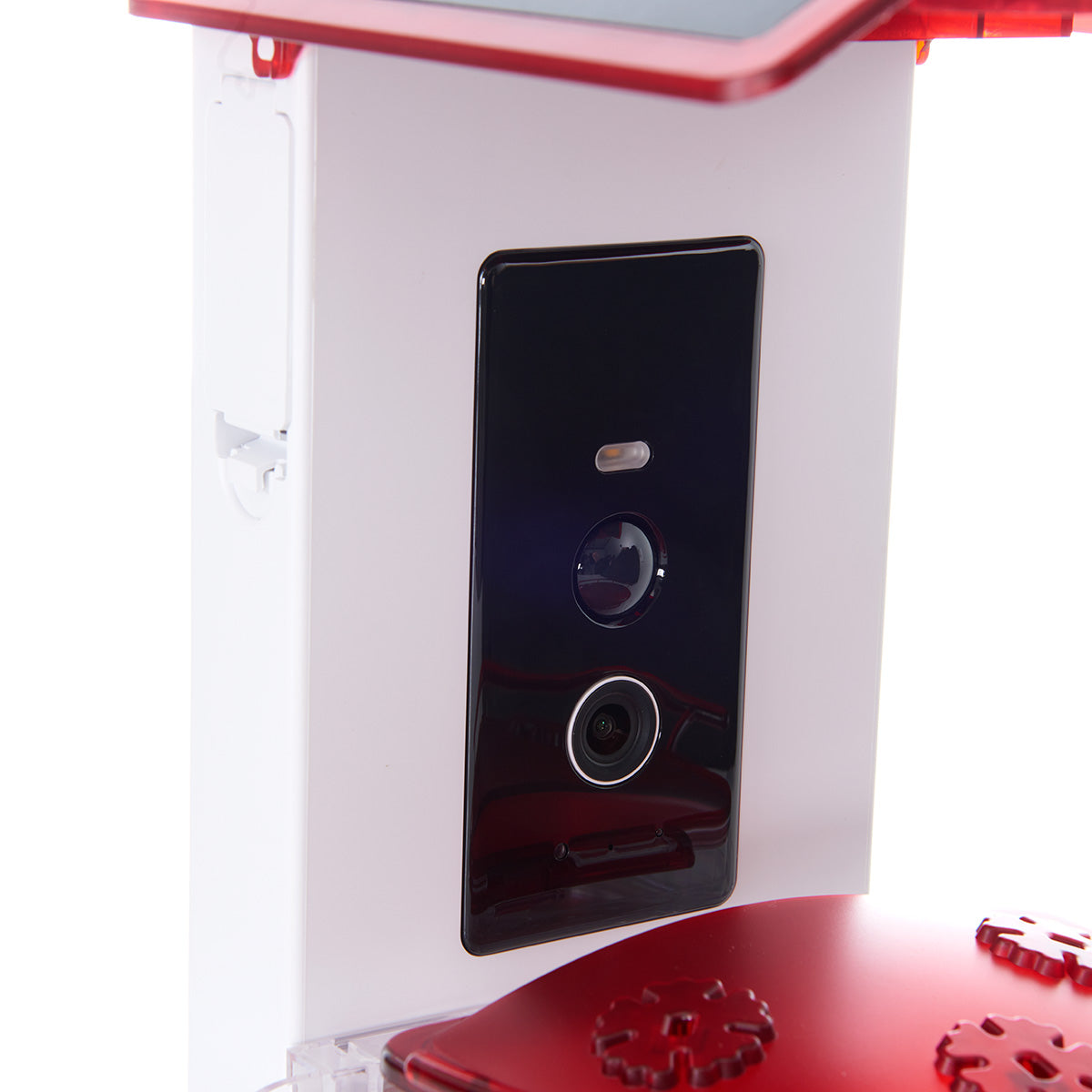 Video Camera Hummingbird Feeder