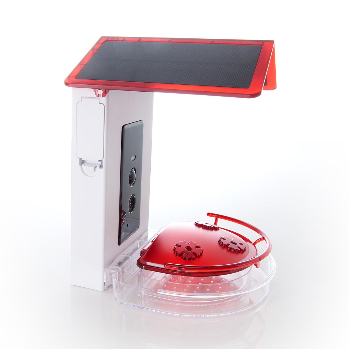 Video Camera Hummingbird Feeder
