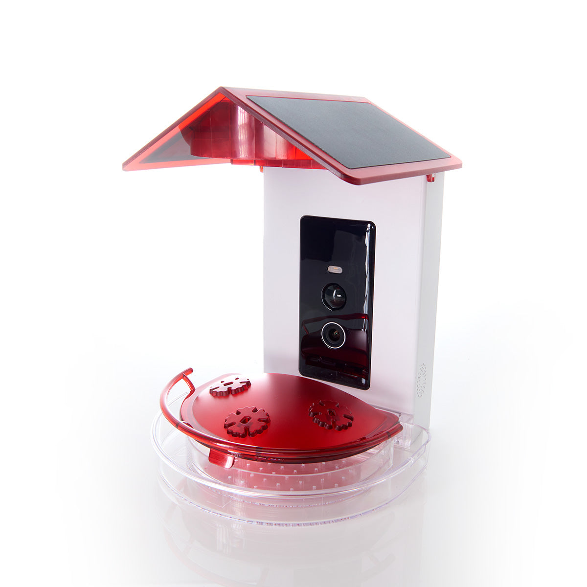 Video Camera Hummingbird Feeder