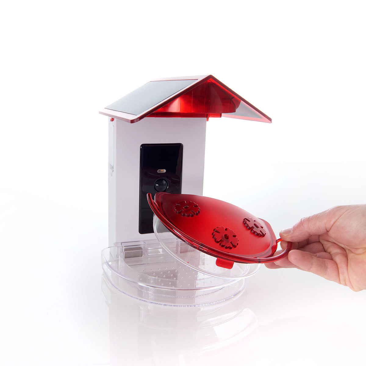Video Camera Hummingbird Feeder