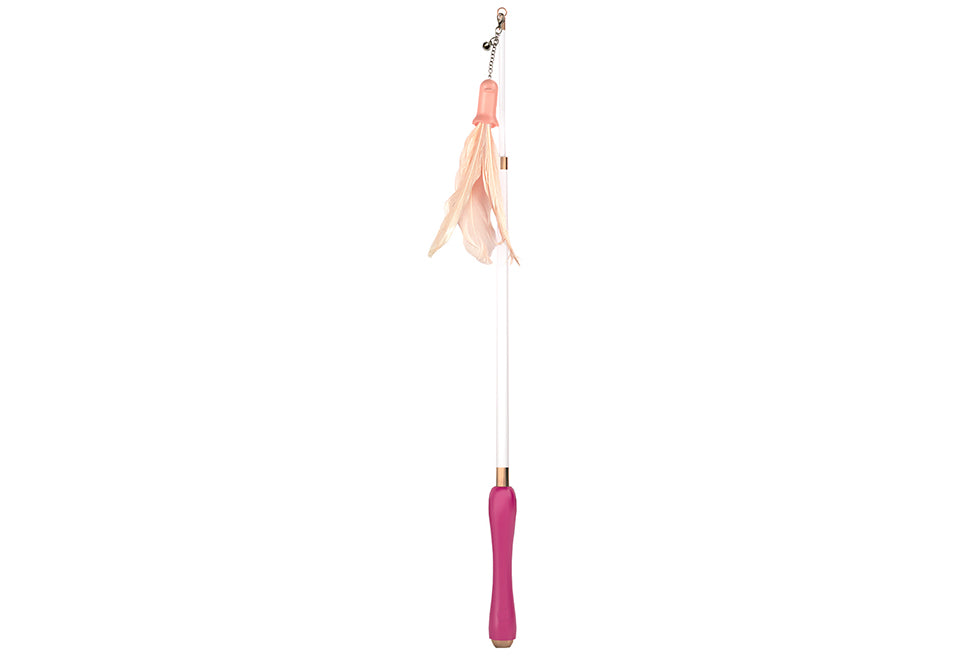 10-in-1 Extendable Cat Laser and Teaser