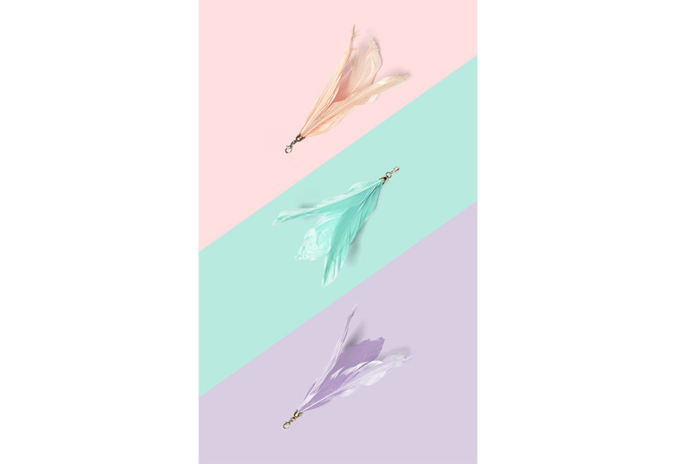 10-in-1 Extendable Cat Laser and Teaser