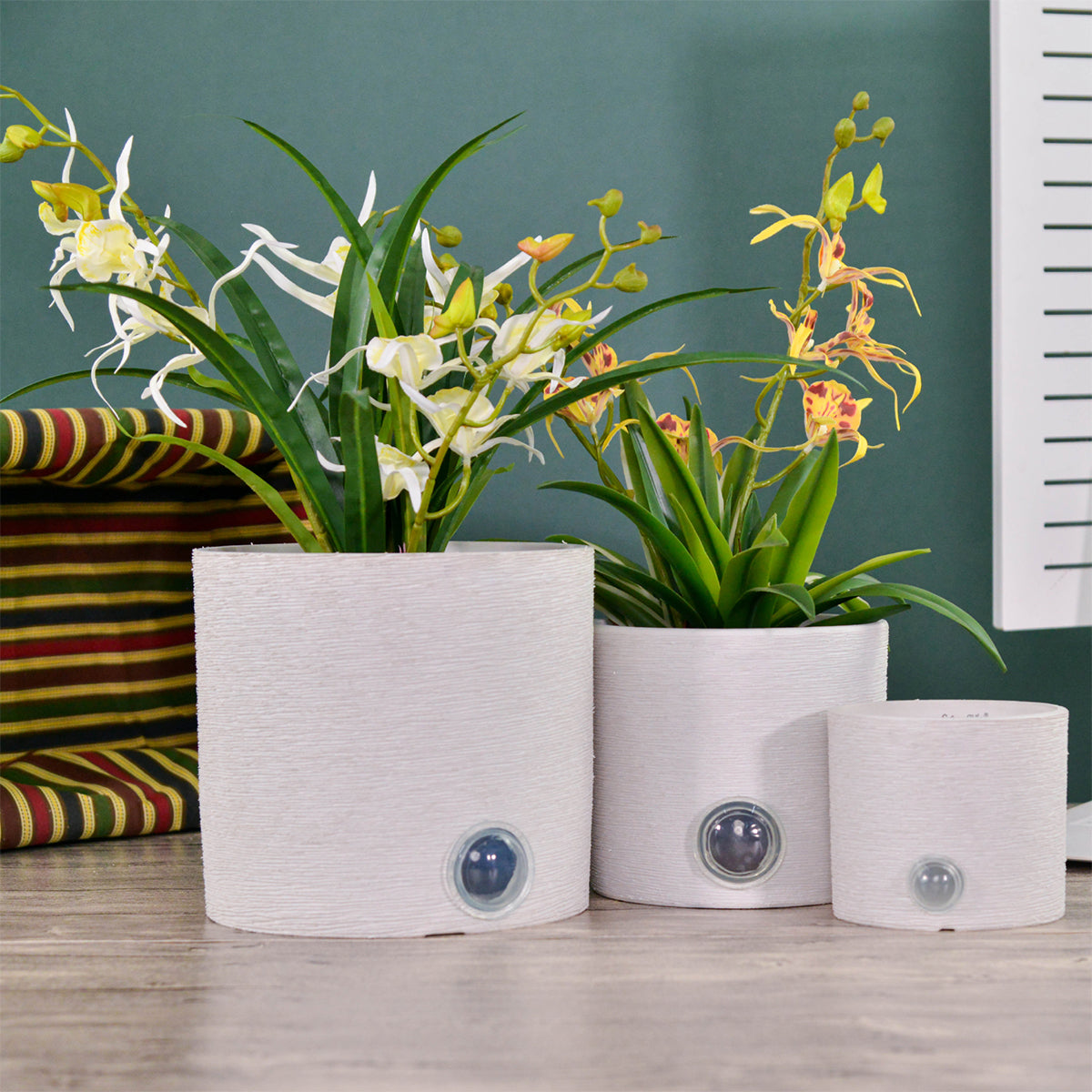 Self-Watering Cylinder Pot System for Indoor Plants (Set of 3)