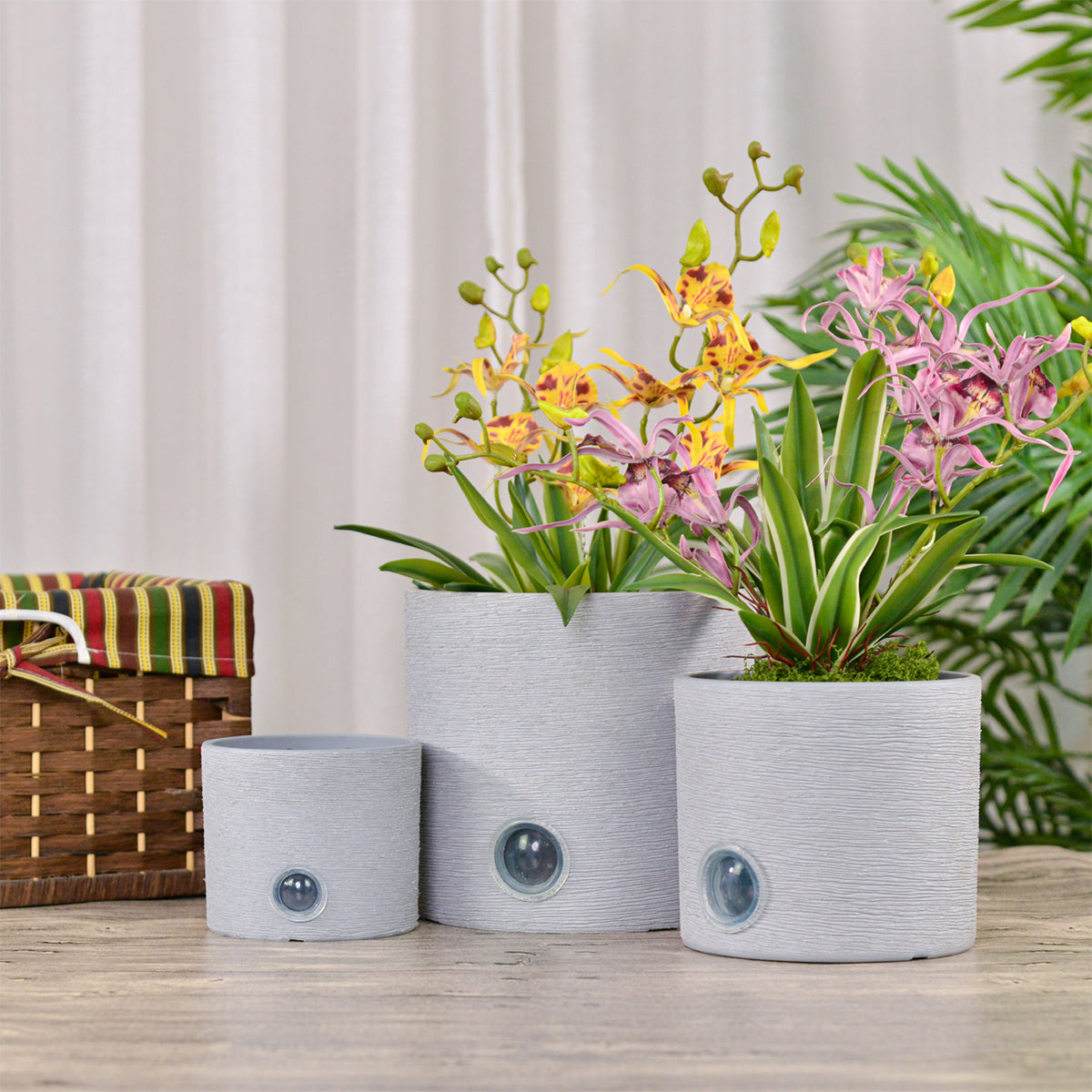 Self-Watering Cylinder Pot System for Indoor Plants (Set of 3)