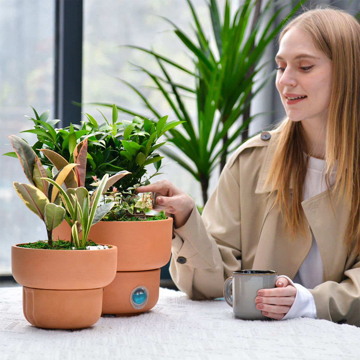 Self-Watering Low Bowl Pot System for Indoor Plants (Set of 2)