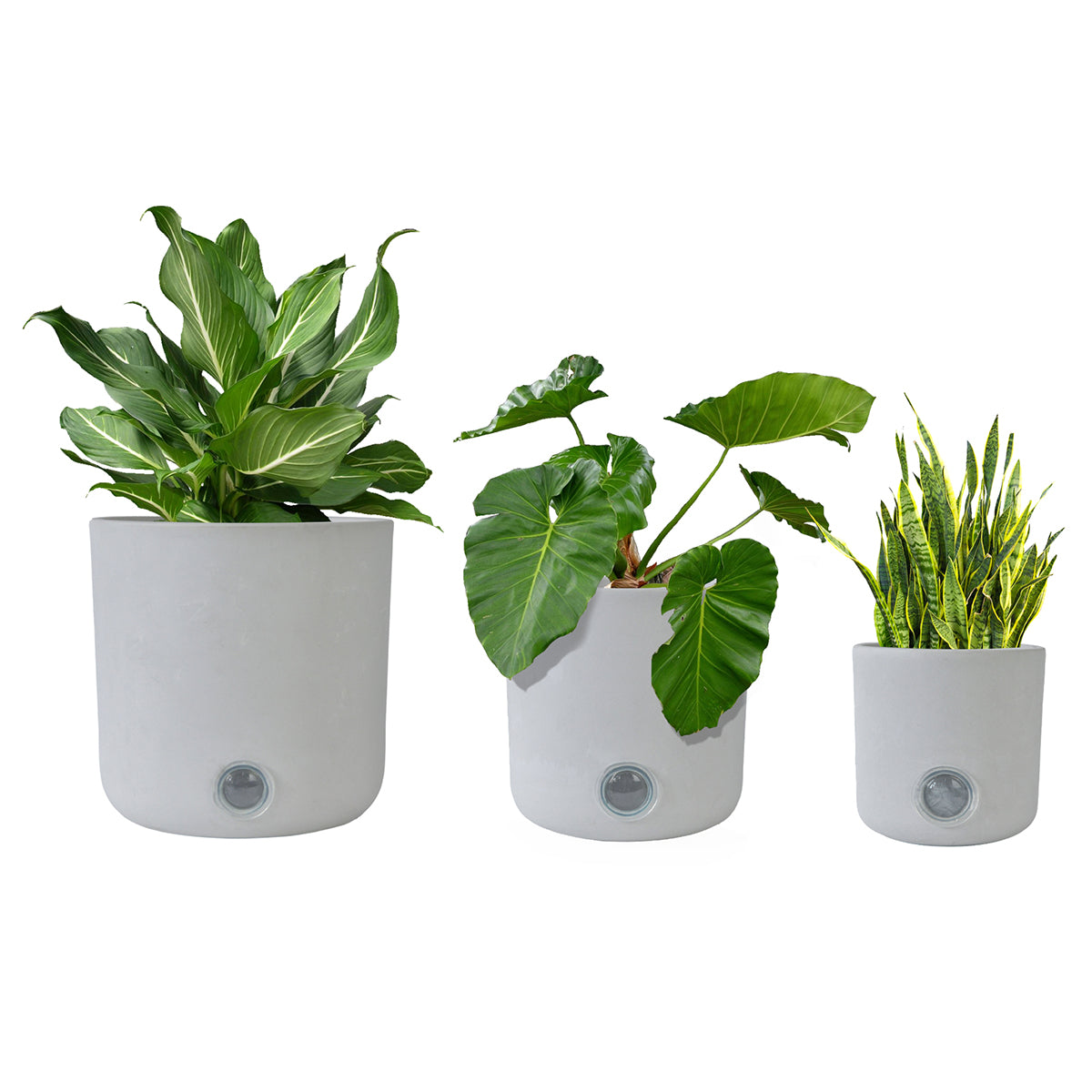 Self-Watering Tall Cylinder Pot System for Indoor Plants (Set of 3)