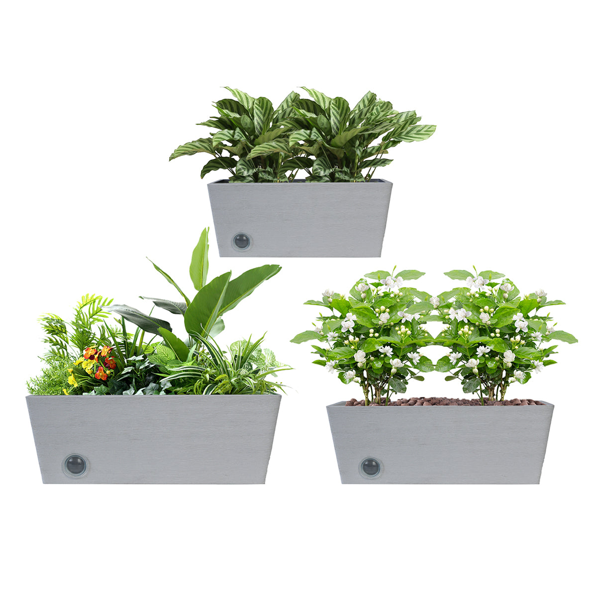 Wall Hanging Self-Watering Pot System for Indoor Plants (Set of 3)
