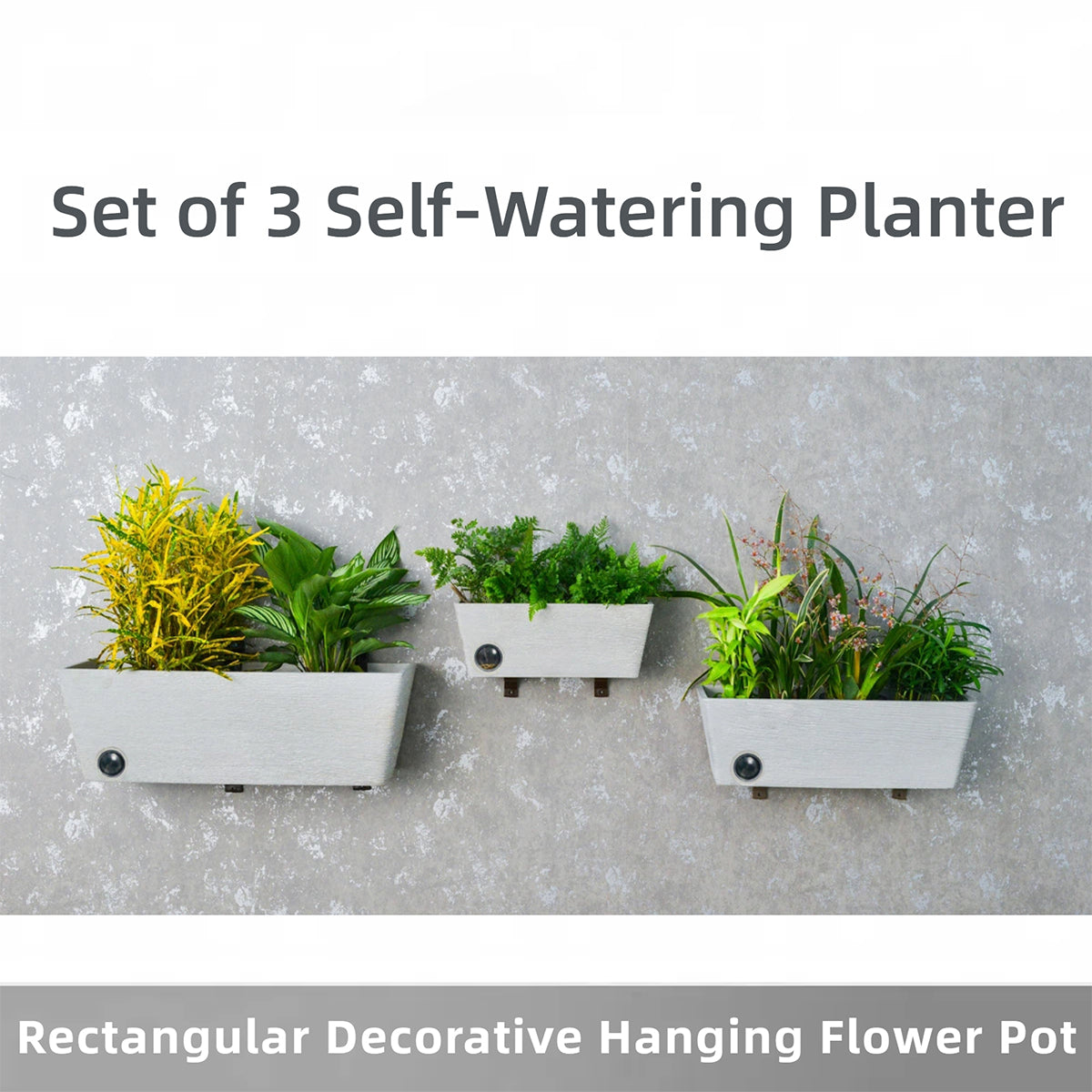 Wall Hanging Self-Watering Pot System for Indoor Plants (Set of 3)