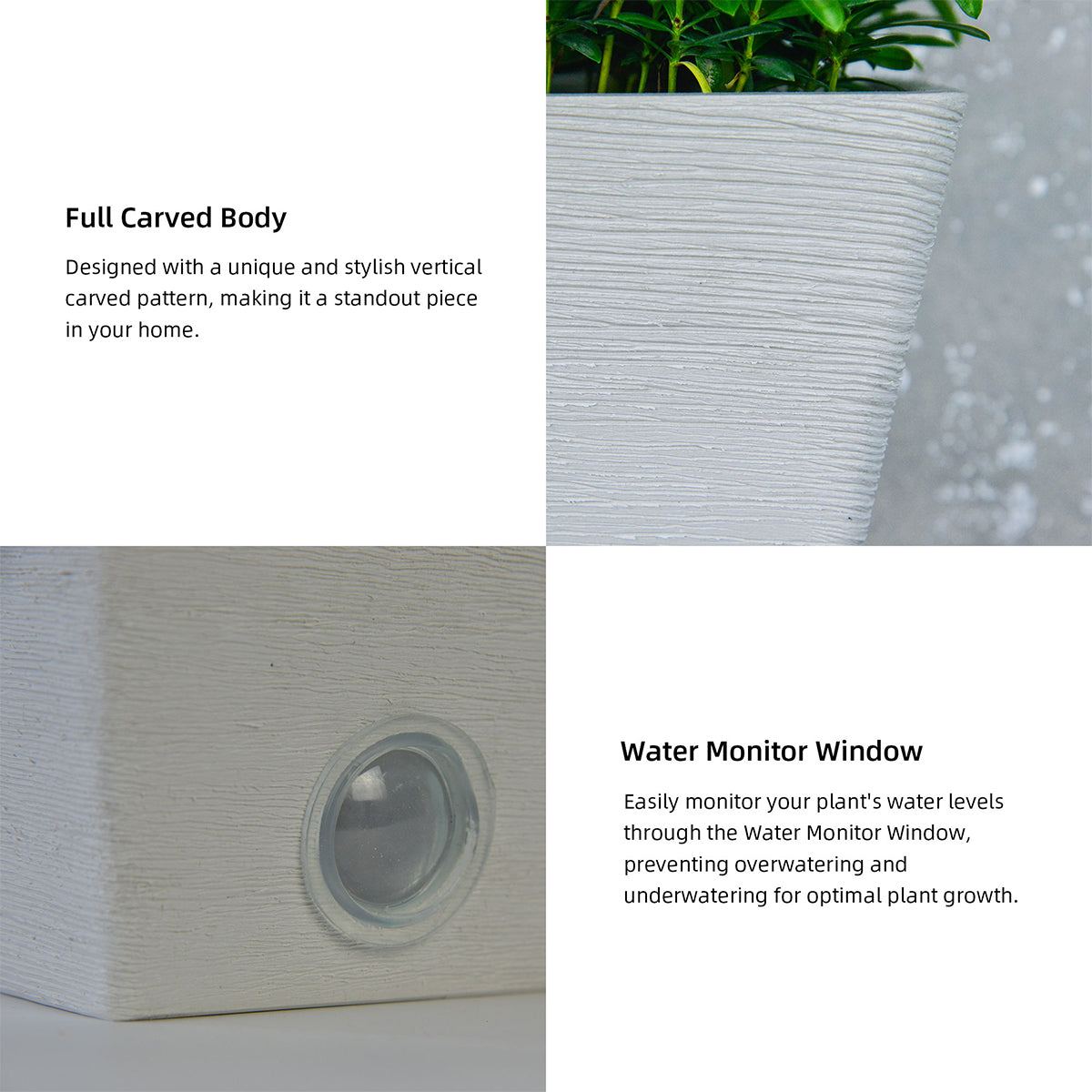 Wall Hanging Self-Watering Pot System for Indoor Plants (Set of 3)