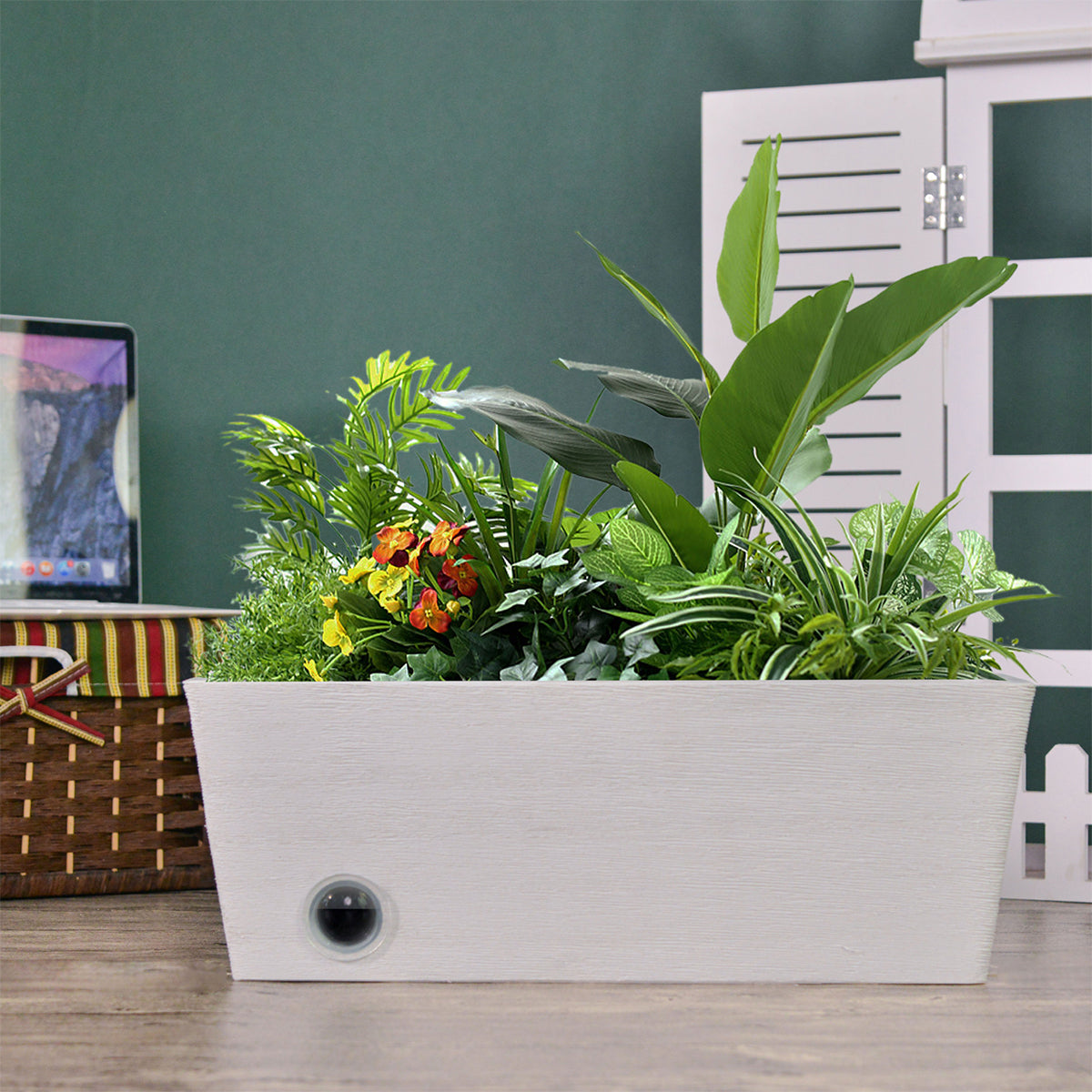 Wall Hanging Self-Watering Pot System for Indoor Plants (Set of 3)