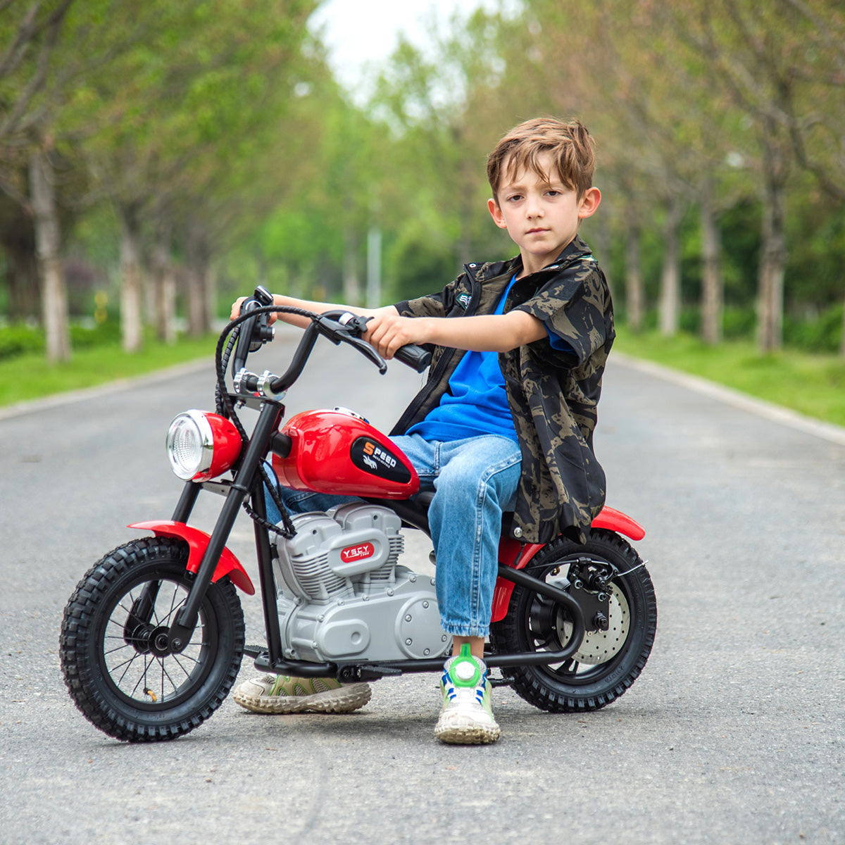 36V E-Chopper Ride-On