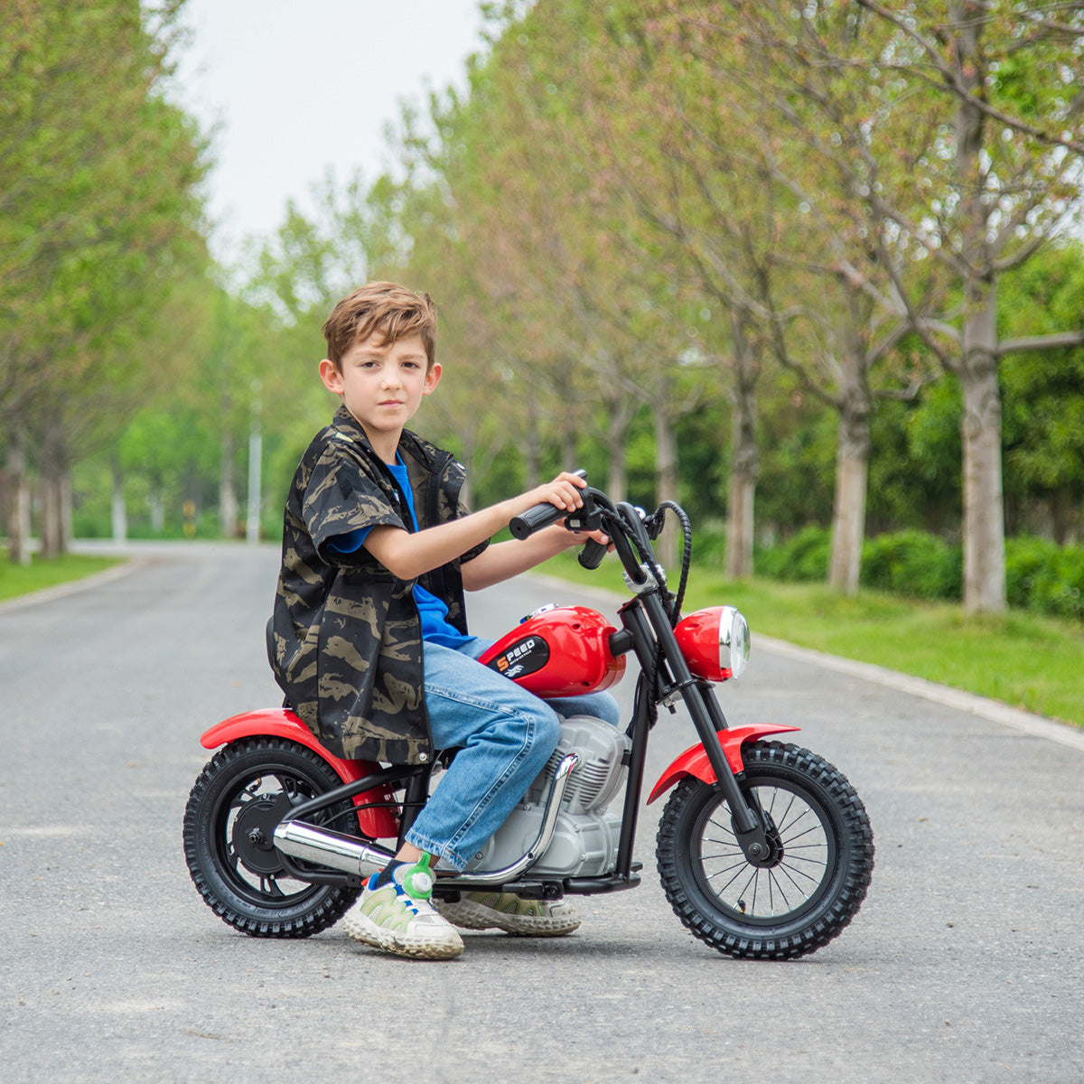 36V E-Chopper Ride-On