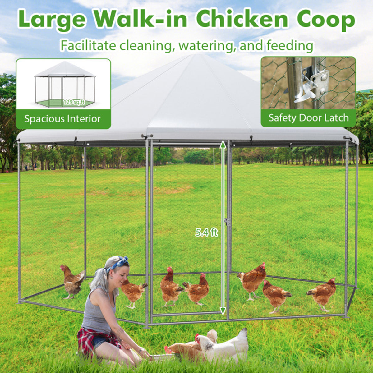 13' Wire Mesh Hexagonal Chicken Coop