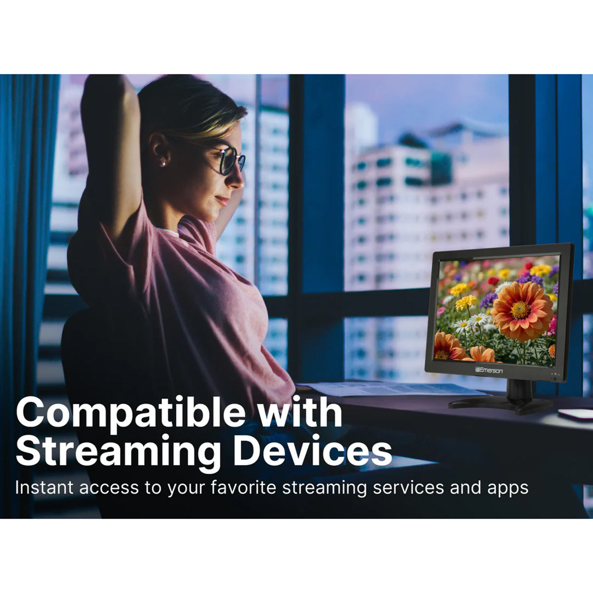 13.3'' Portable Digital TV