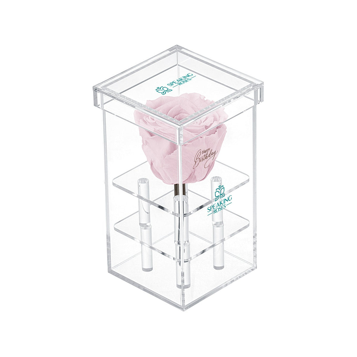 Single Stem Preserved Rose