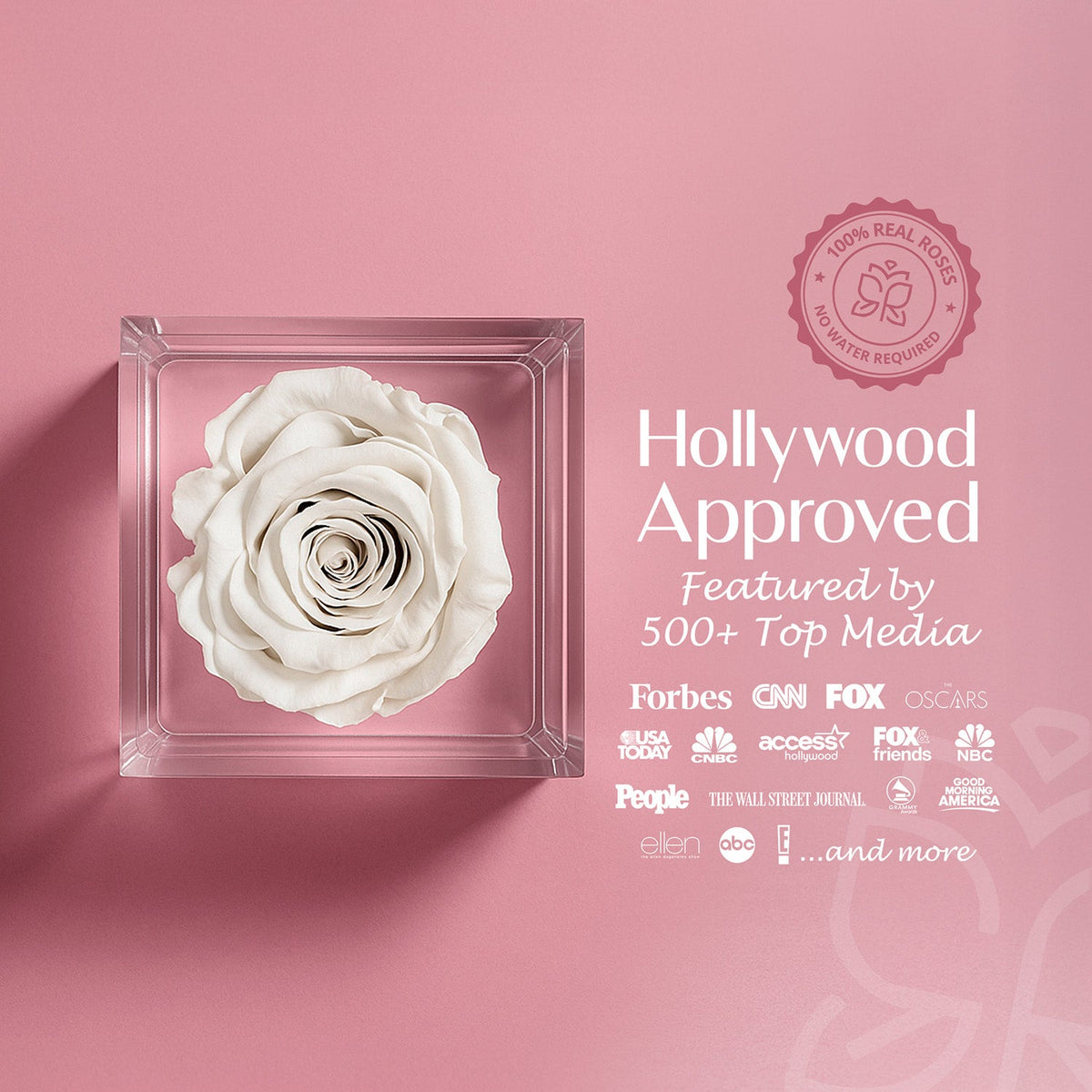 Single Stem Preserved Rose