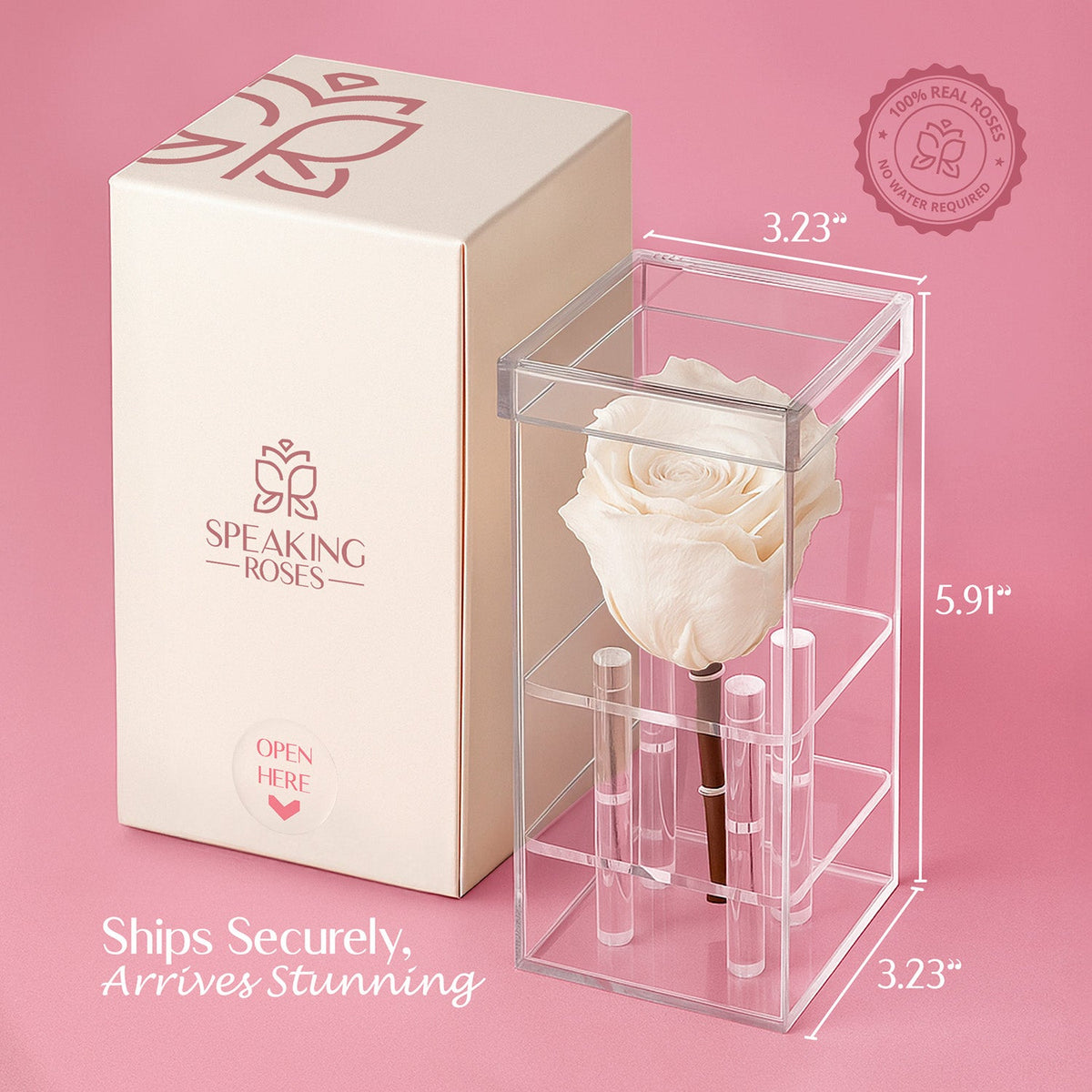 Single Stem Preserved Rose