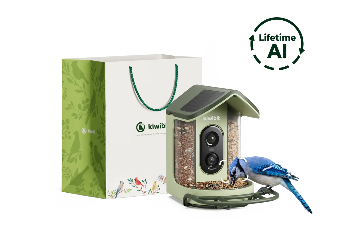 Bird Feeder 2 Mini (Lifetime AI Included) with Gift Packaging Kit
