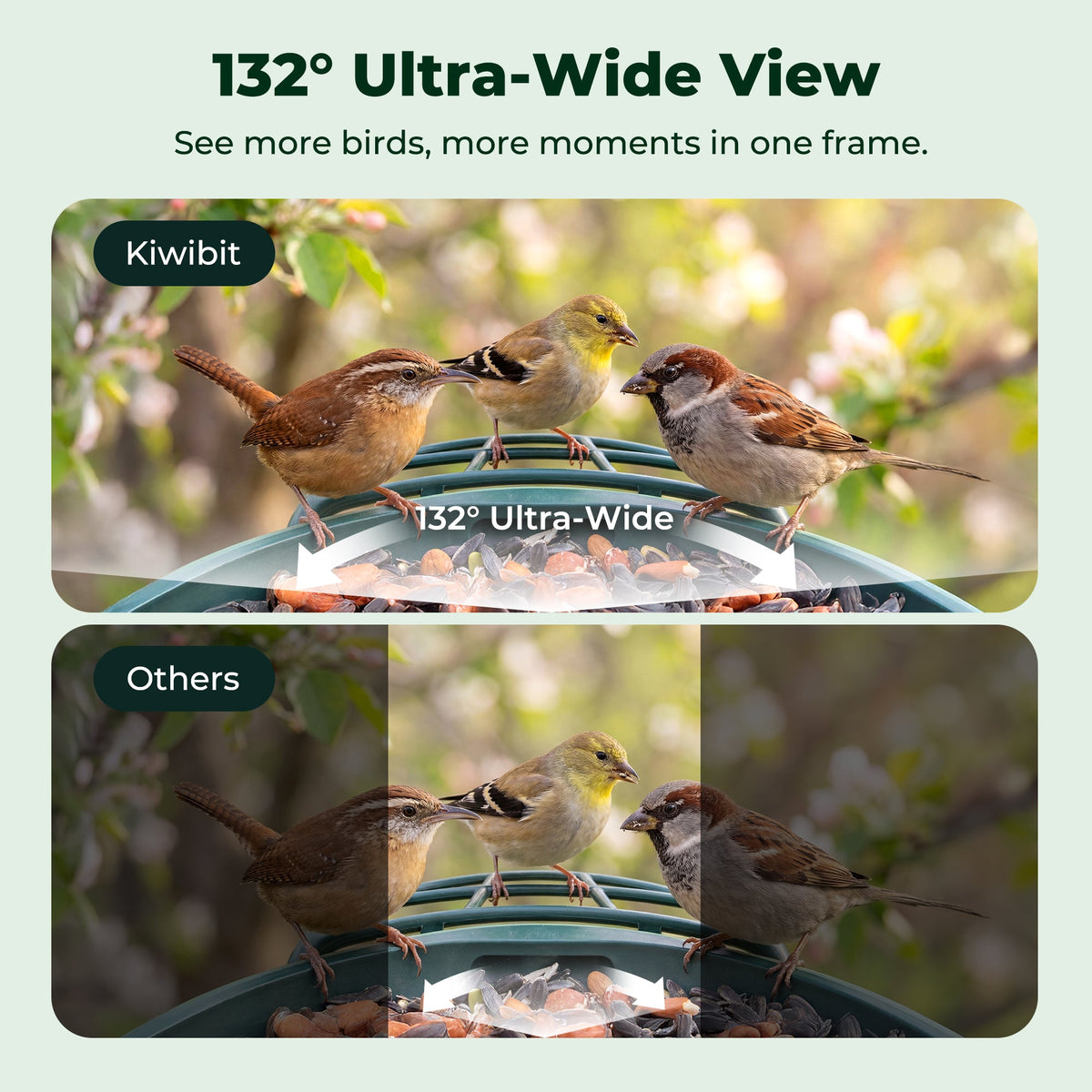 Bird Feeder 4K AI Camera Solar Panel Kit (Lifetime AI Included)