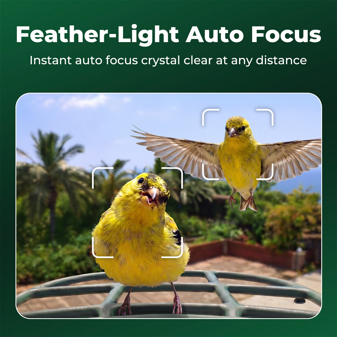 Bird Feeder 2 Pro 4K AI Camera with Solar Panel (Lifetime AI Included)