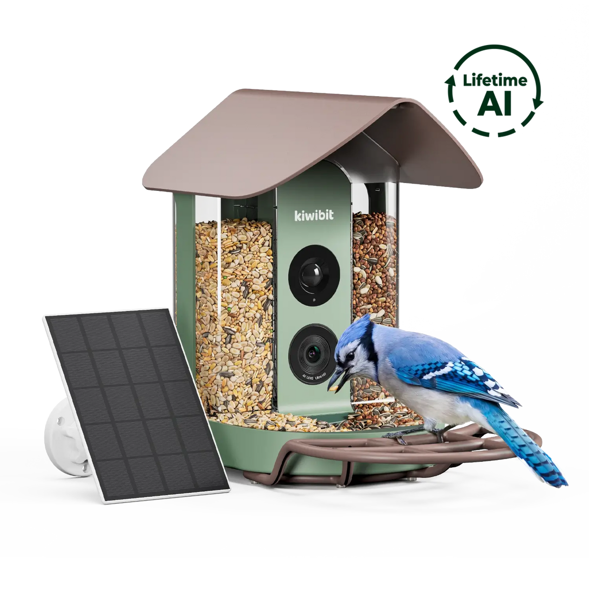 Bird Feeder 4K AI Camera Solar Panel Kit (Lifetime AI Included)