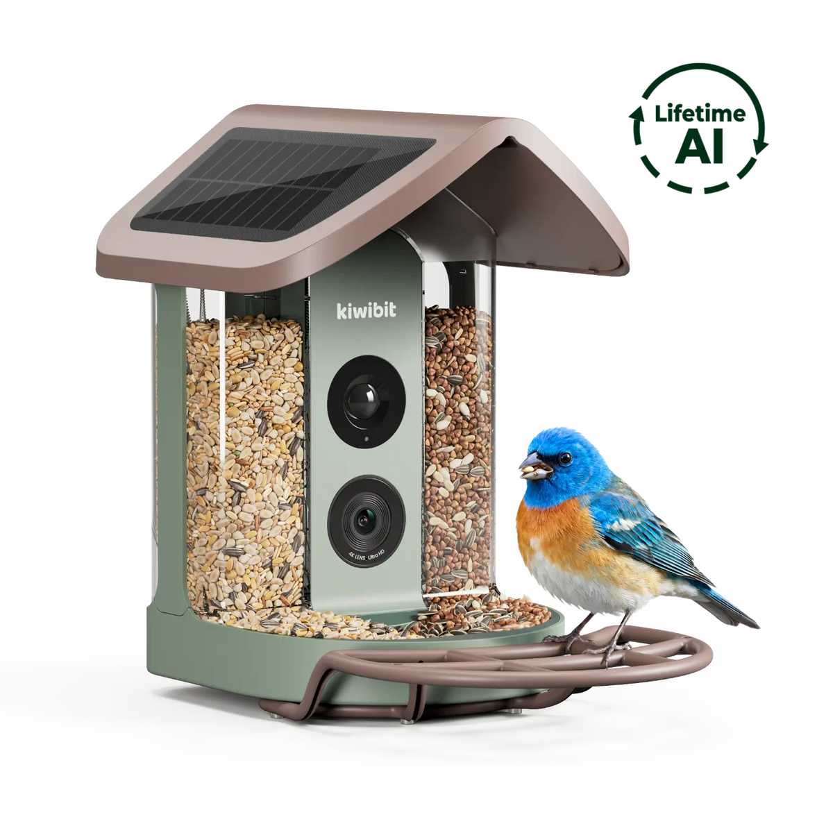 Bird Feeder 2 4K AI Camera with Solar Panel (Lifetime AI Included)
