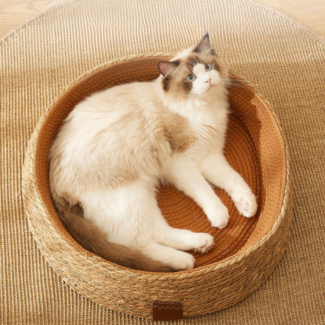 Rattan Cat Bed with Natural Scratching Surface and Circular Nesting Design