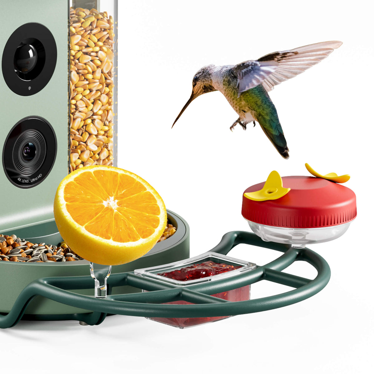 All-in-One Bird Feeding Kit for Smart Bird Feeder