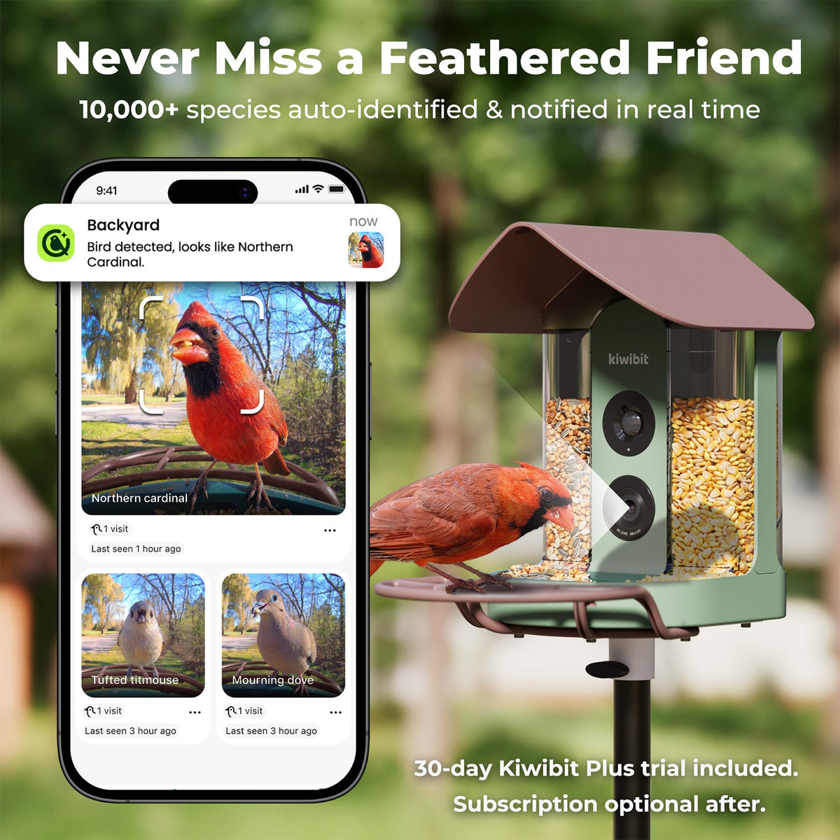 Bird Feeder 4K AI Camera Solar Panel Kit (Lifetime AI Included)