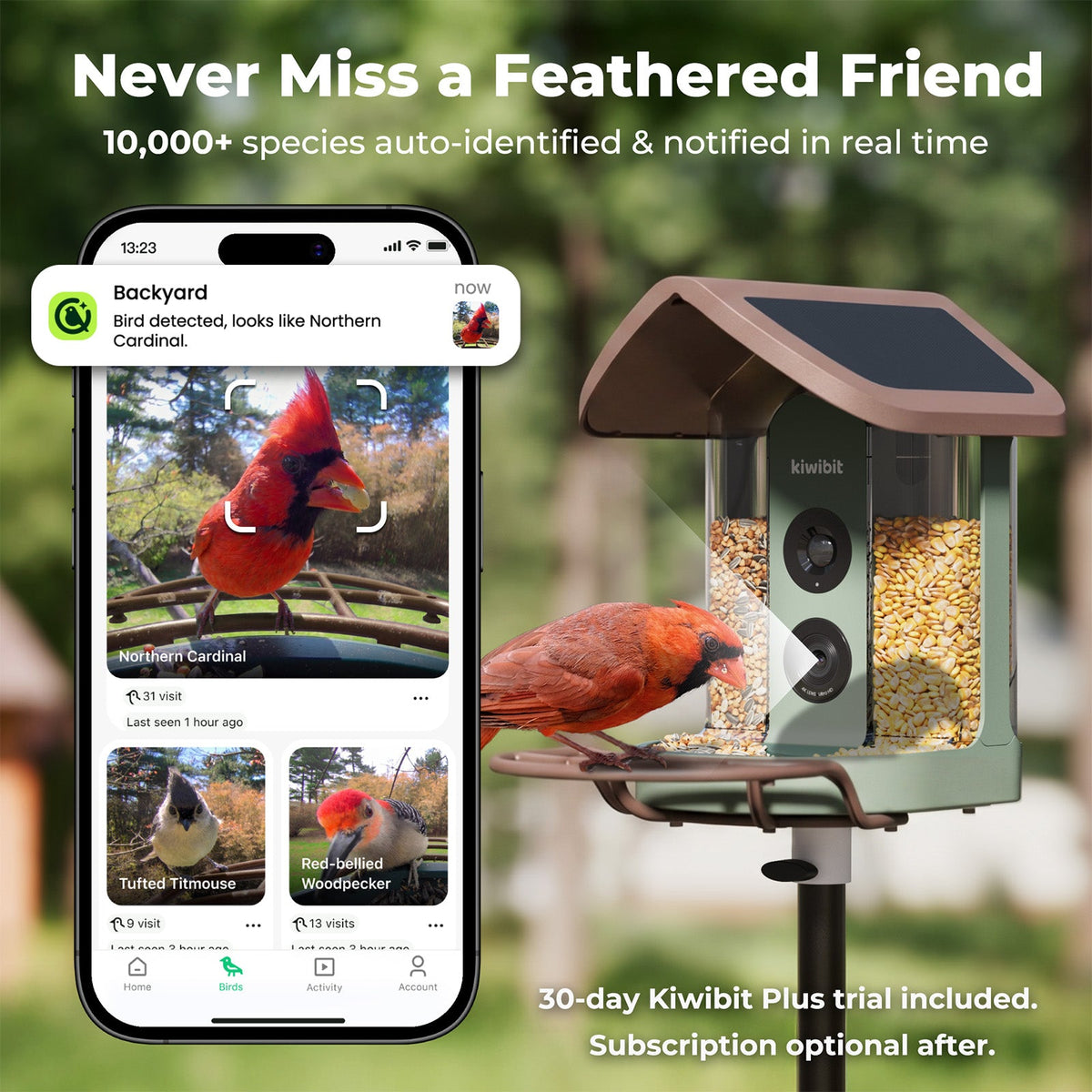 Bird Feeder 2 4K AI Camera with Solar Panel (Lifetime AI Included)